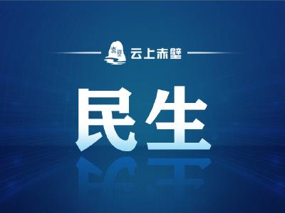 赤壁市税务局问计问需助企发展