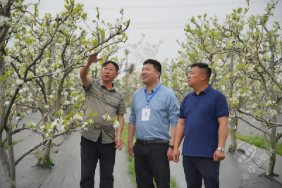 赤壁：因地制宜护航特色产业“拔节向上”