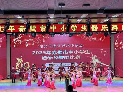 阳光下成长  艺术中绽放 赤壁市举办中小学生器乐舞蹈比赛