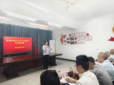 茶庵岭镇：头雁竞飞展风采 以赛促学强担当