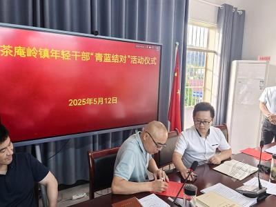 茶庵岭镇：“青蓝结对”注活力 薪火相传谱新篇