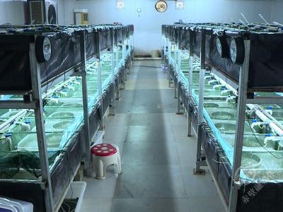 赤壁谈火林：从3000万到破亿 他在田间破译黄鳝苗种“芯片” 