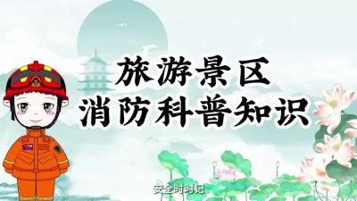 消防宣传公益片 | 安全最“粽”要 端午节消防安全提示