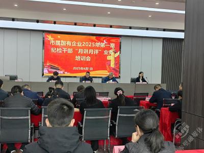 派出（驻）第九纪检监察组：强基固本锻铁军 清风护航促发展