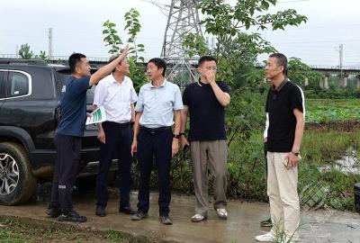 叶文华、钱仕忠调研华润蒲圻电厂三期输电线路项目建设