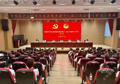 共青团赤壁市委举行十一届二次全体（扩大）会议