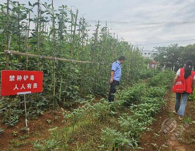 官塘驿镇开展禁种禁制宣传 筑牢禁毒防线
