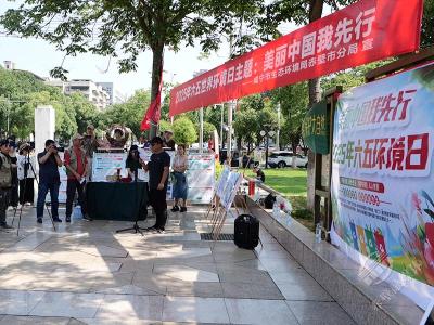 赤壁市开展2025年“六五”世界环境日宣传活动