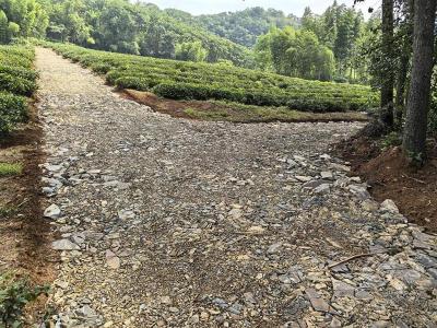 羊楼洞茶场：为民解忧办实事 修路改造惠民生