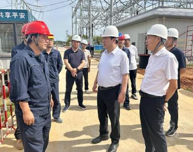 葛军督办蒲圻电厂三期500千伏线路工程建设和区域性污染物削减工作