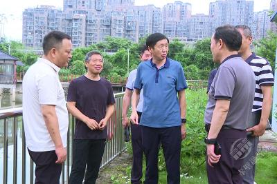 叶文华巡查赤马港河