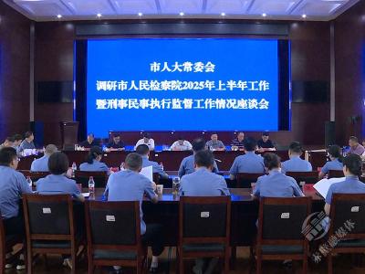 市人大常委会调研市人民检察院2025年上半年工作暨刑事民事执行监督工作