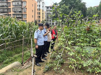 赤马港街道社区戒毒康复中心：禁种踏查，守护社区无毒净土