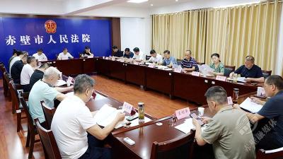 市人大常委会调研市人民法院2025年上半年工作暨执行工作情况