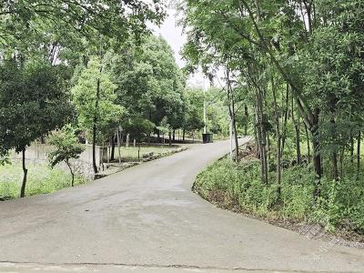 红黑榜：官塘驿镇人居环境治理喜忧参半