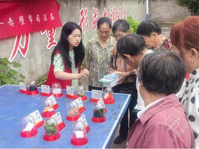 茶庵岭镇开展“6·26”国际禁毒日宣传活动 筑牢禁毒防线 共建平安社区