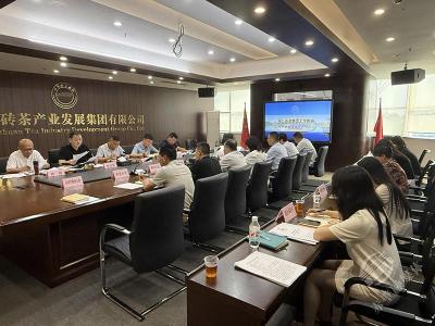 湖北茶发集团聚焦渠道攻坚与产品创新推动高质量发展