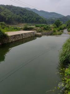 巡察亮剑护安澜  固堤惠民促丰收