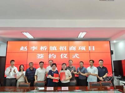 赵李桥镇签约亿元青砖茶文化综合体项目 激活千年茶脉赋能乡村振兴