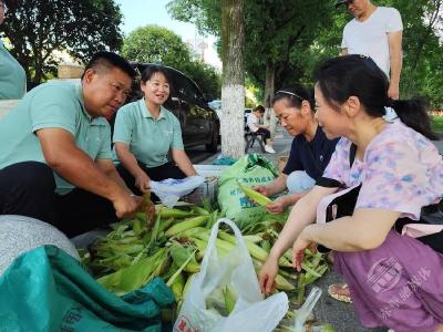 文清村：从田间到舌尖 干部线下当“货郎”