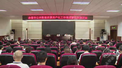 明确时间节点 筑牢数字治理基础 赤壁市加快推进公共数据资源资产化改革