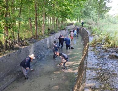 赤壁市新店镇望夫山村开展清淤行动 15公里水渠焕新颜