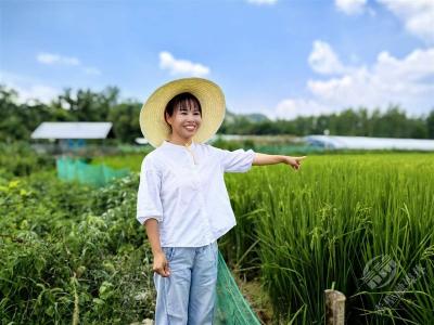 【锲而不舍落实中央八项规定精神·办实事解难题】硕士新农人田淑娴回乡创业 稻虾鸭田亩利润翻5倍 田埂上“创”出全国大奖
