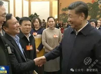 卢黎歌：情系桑梓 奋斗不止