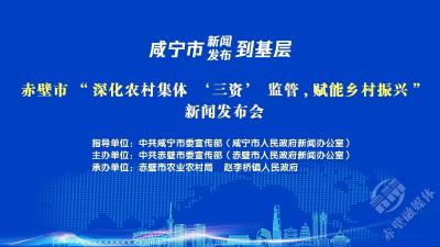 新闻发布会预告丨赤壁市“深化农村集体‘三资’监管，赋能乡村振兴”新闻发布会