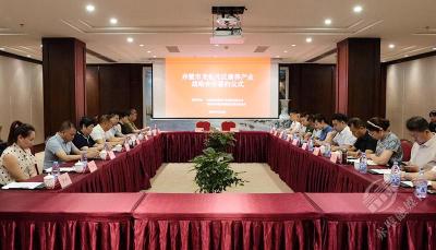 赤壁市龙佑片区康养产业战略合作项目签约
