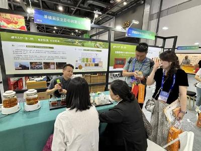 湖北赤壁：羊楼洞茶业青砖茶饮料掀起消费热潮