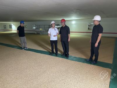商发集团：全程监督筑牢粮食安全防线