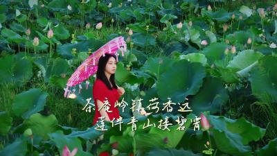 湖北赤壁：茶庵岭镇荷香远  莲伴青山接碧霄
