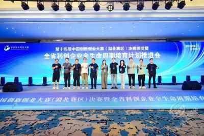 赤壁双企闪耀，创新创业大赛传佳音