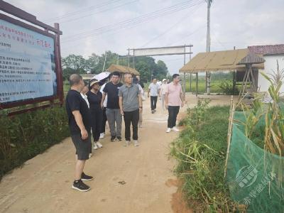 同赴发展“取经”路，共筑乡村振兴梦——黄盖湖镇考察学习赤壁市娴子生态种养殖专业合作社