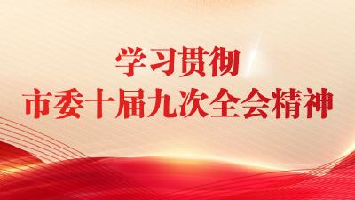 学习贯彻市委十届九次全会精神