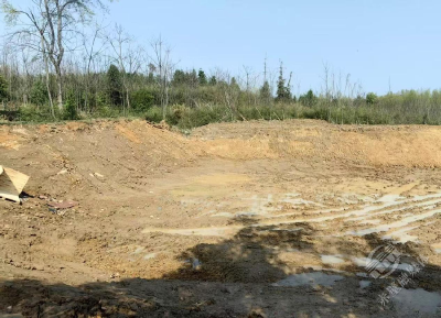 湖北赤壁：当家塘焕新颜 闲地变“粮仓”