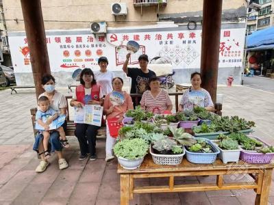 蒲圻街道社区戒毒康复中心：多肉环绕的小区防毒新课堂