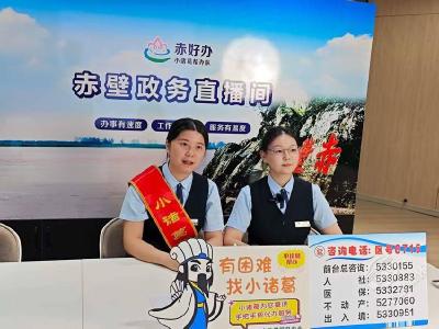 湖北赤壁：政务服务“云直播” 政策交流“零距离”
