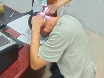 余家桥乡：干部化身“灭蜂侠”解民忧暖民心