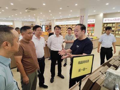 葛军带队调研全域旅游项目推进工作时强调：以实在成效检验干部作风 全力推进各项任务落到实处