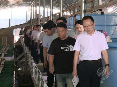 咸宁市特色淡水产品产业链现场推进会在赤壁召开