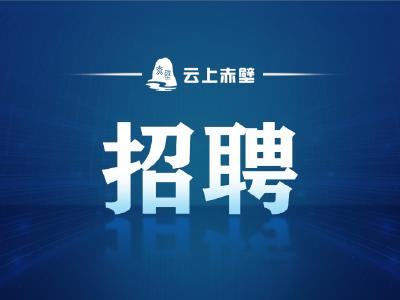 2025年赤壁市事业单位公开招聘工作人员公告