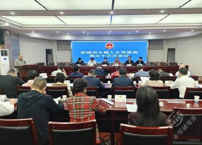 市十届人大常委会召开第三十三次会议