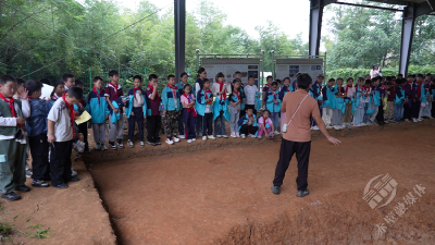 蒲纺一小开展实景化教学