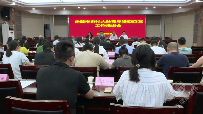 赤壁市召开农村大龄青年婚恋交友工作推进会