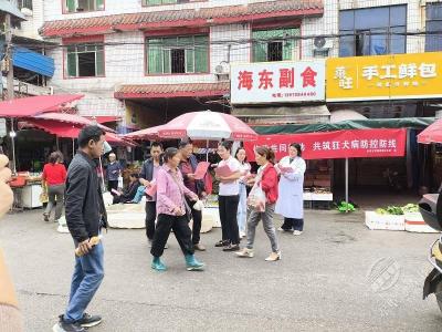赤壁市开展“世界狂犬病日”宣传活动