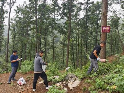 300亩基地、5000株母树！赤壁为湖北南酸枣种质资源库 “添新粮”