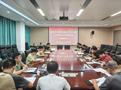 赤壁市召开招投标领域突出问题系统整治工作培训会