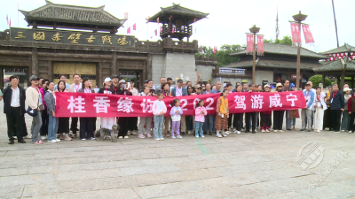 游赤壁品砖茶 “桂香缘你”自驾游赤壁